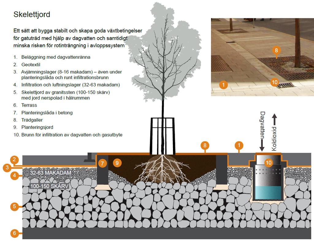 Figur 11. Exempel på utformning av en skelettjord och dess olika komponenter (Illustration: Dagvattenguiden, 2016). 7.