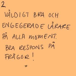 (1) sak