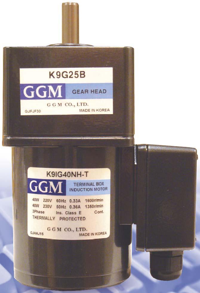GGM Motor Co., Ltd.