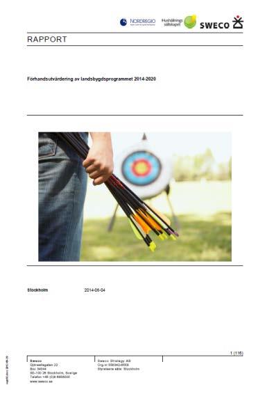 Stegvis bedömning av programframtagande (mars 2013-juni