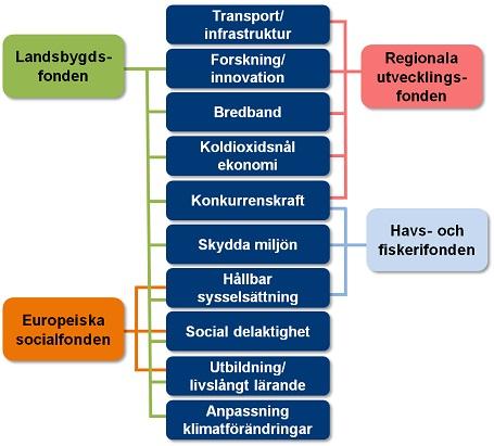 Bakgrund Gemensam utvärdering 2016 (SJV, TVV, ESF) Genomförarande för