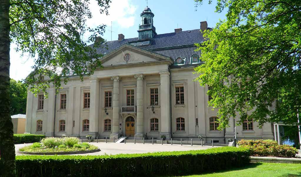 8. RBC dagar Marie Sverud År 2013 var första gången som RBC-dagar anordnades. Då träffades RBC na på Thorskogs Slott, med Västra Götaland som värd.