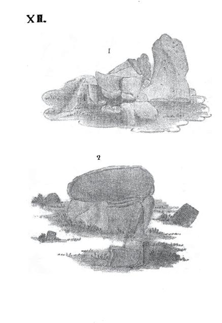 Kapitel 2 Bild. XII.