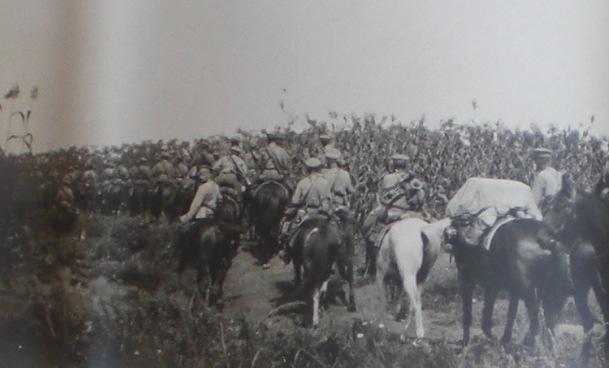 Kavalleriet Sällan hafva väl i ett krig uppträdt större kvallerimassor och sällan torde de hafva uträttat mindre som kavalleri betraktat.