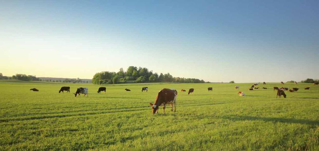 den mängd foder som odlas: gödslet från gårdens djur ska komposteras och för att ge maximal effekt prepareras med de biodynamiska kompostpreparaten; de biodynamiska fältpreparaten ska användas;
