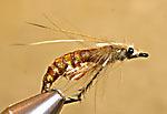 Eikre pupa - # 10-16, dk brown with yellow, orange or red dot. Also Black with red dot. LE Nymph Head Killer Caddis - # 12 Daiichi Glass Bead Hook. Johans Pupa - LE variant.