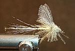Olive # 12-14 Tube Body CdC Vulgata # 12 extended LE Waterwing Spinner - Ephemerella Aurivilli, Siphlonorus, Baetis Rhodani, Baetis