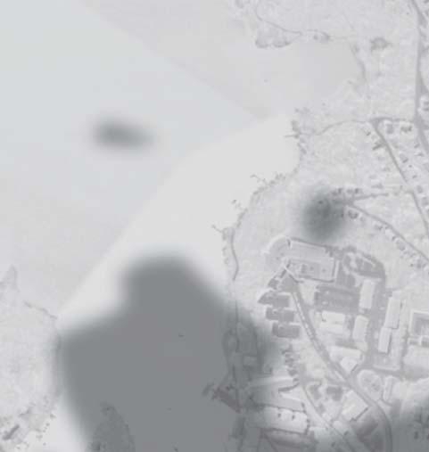 Marks