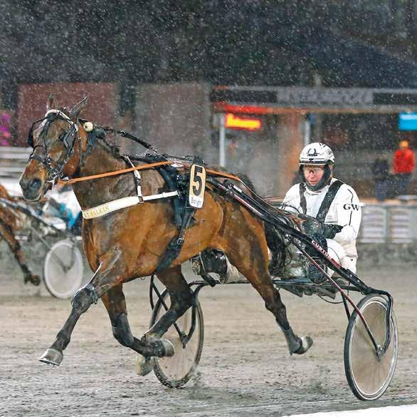 SOLVALLA ONSDAG JANUARI FÖRSTA START.