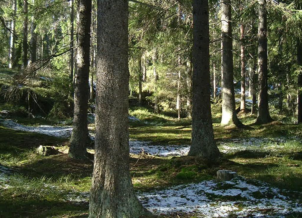 Varför naturvård? Vacker natur är en av många faktorer som gör en kommun attraktiv och bör därför användas som en resurs för kommunens utveckling. Naturen är också en hälsofrämjande resurs.