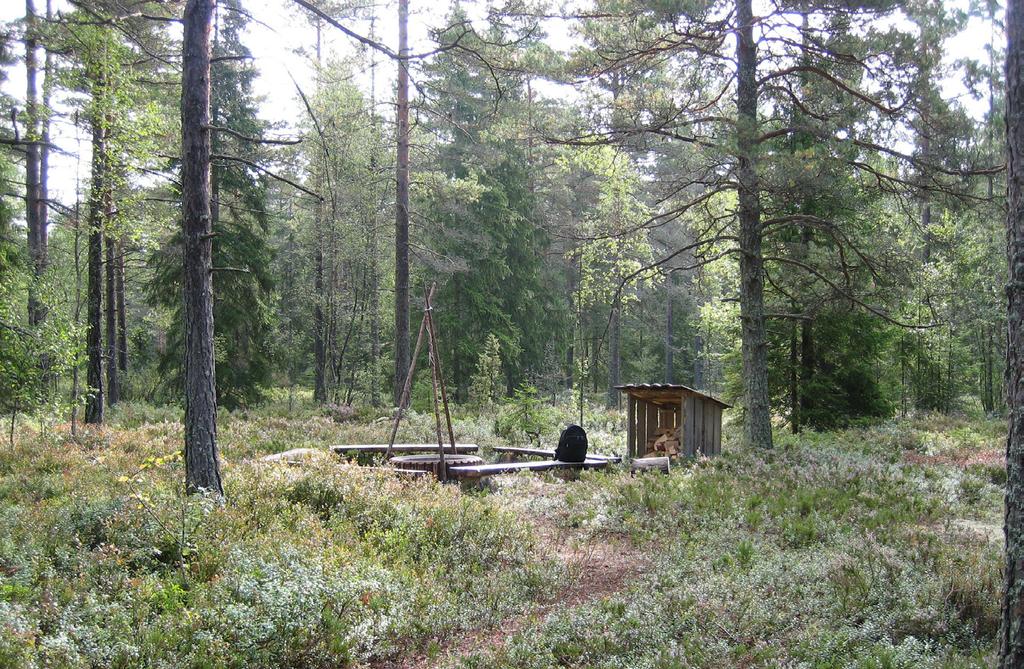 På den kommunala marken där ska naturen skötas med de huvudsakliga målen rekreation och naturvård och kommer att omfattas av en grönstrukturplan.