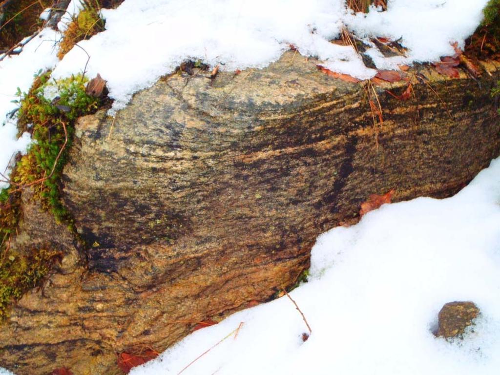 Detaljplan Häljered Bergteknisk utredning 2 (10) 2 Gelgi Bergarter Berggrunden består huvudsakligen av en gråröd-rödgrå medel- till grvkrnig bandad gnejs.