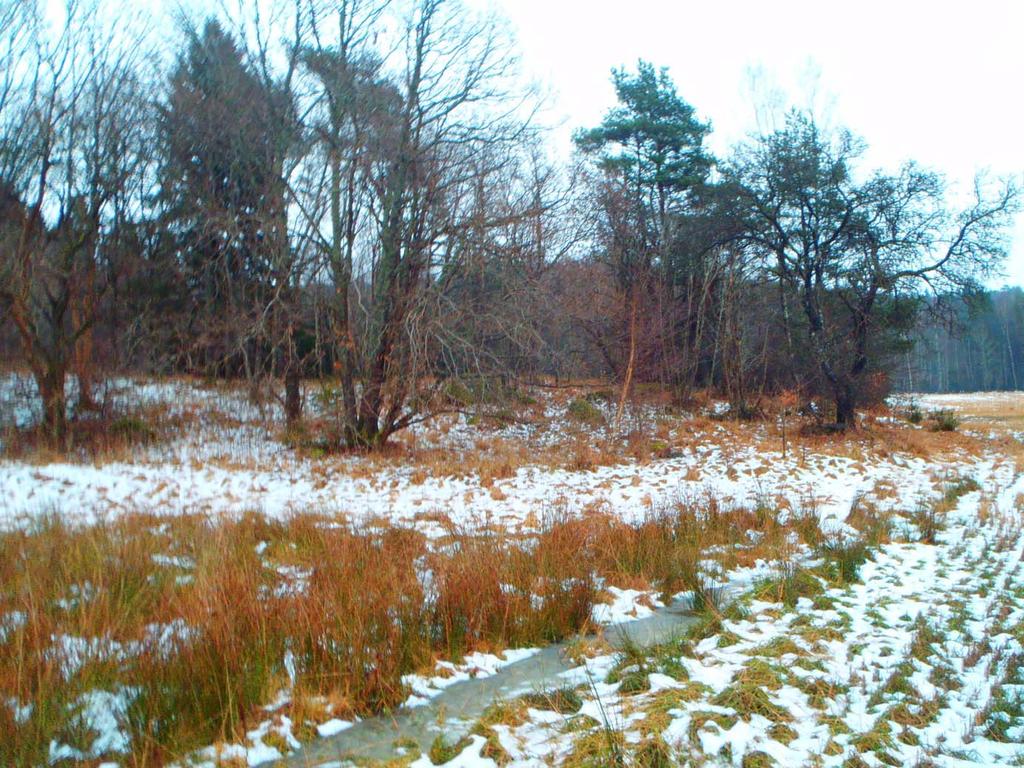 Detaljplan Häljered Bergteknisk utredning 5 (10) Bilaga 1 Ftdkumentatin Ft 1. Bergblttning 1 är flack ch rundad.