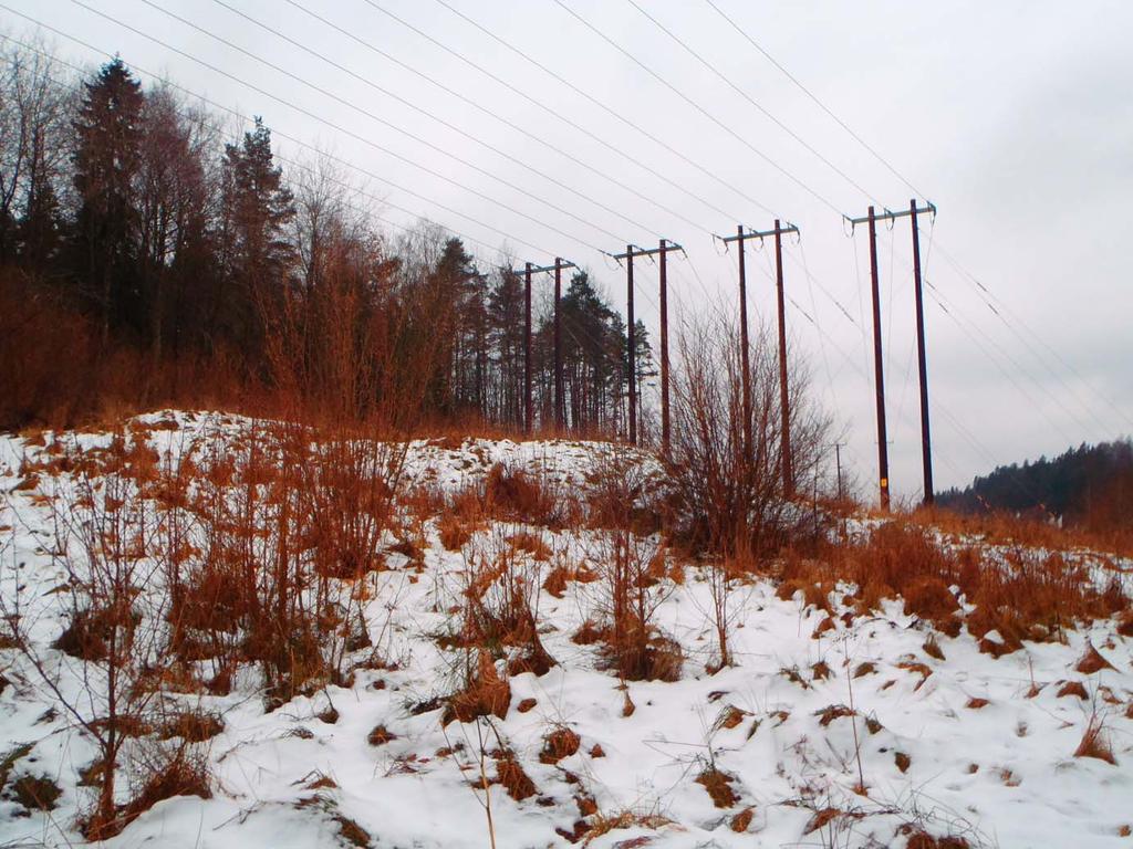Detaljplan Häljered Bergteknisk utredning 9 (10) Ft 5. Bergblttning 6, under kraftledningarna. Här finns flera små, låga, rundade hällar sm idag är stabila.