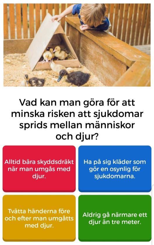 ONLINE QUIZ Syfte och innehåll 6 områden