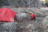 Fäst stavarnas spetsar i ringarna på mitt av tarps kortsidor. Placera d andra änd av stav på mark så att d lutar agt utåt. Justera linorna så att stavarna står stabilt.