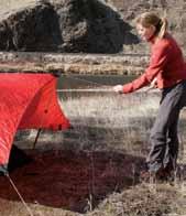 Extd the poles high ough so the Tarp does not touch the Mesh Inner fabric, and insert the poles tips into the middle attachmt point rings on the Tarp s sis.