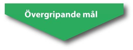 4.5 Övergripande mål Utifrån visionen ska kommunfullmäktige fastställa övergripande mål. De övergripande målen ska ange vad kommunfullmäktige politiskt vill uppnå och de delas in i olika perspektiv.