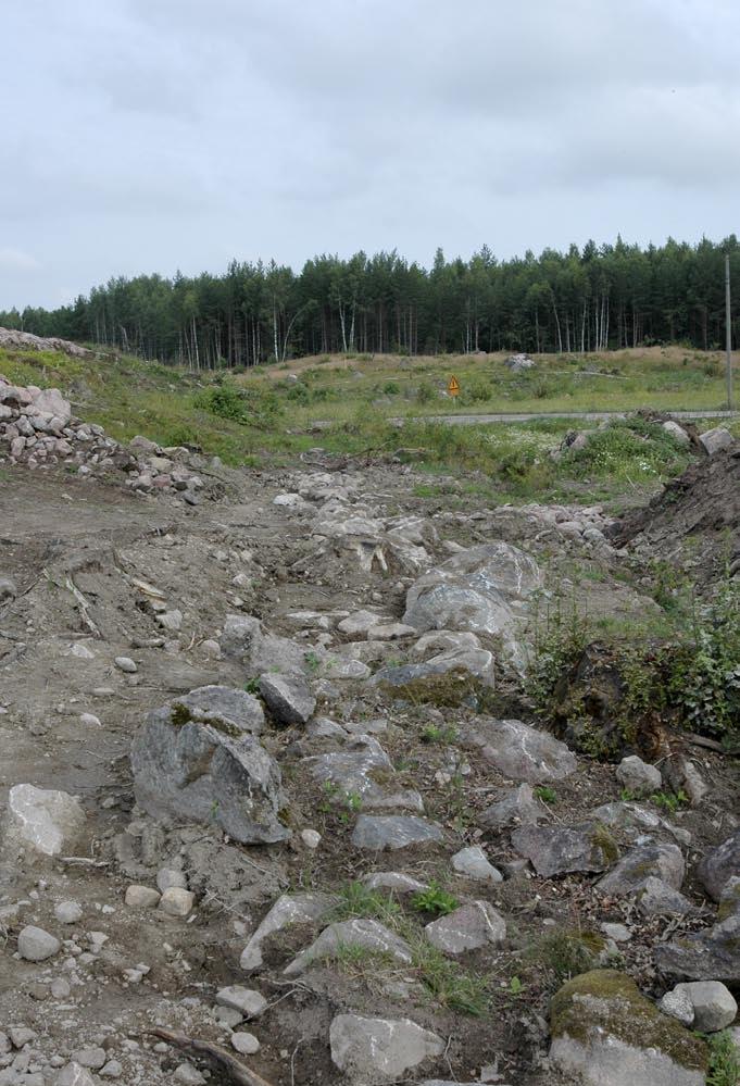 Fig. 11. Stensträng A1000 från söder. På andra sidan av Frestavägen skymtar RAÄ 131:1. Foto: Cecilia Grusmark (U416_1). X 9473,65 Y 9675,8 +,58 1 3 A1000 från SSV 0 1 m X 9474,13 Y96754,3 +,0 Fig. 1. Sektionsritning av stensträng A1000.