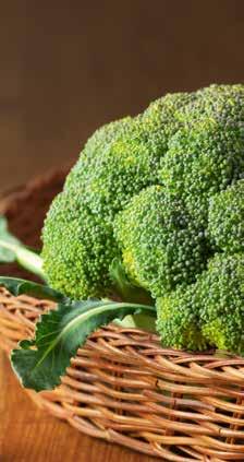 Carl von Linné hävdade en gång i tiden att blomkål var bra mot berusning, men därom tvista de lärda. BROCCOLI 250 g Ewerman Art. nr. 5708 Vill du lära dig mer om god och näringsrik vegetarisk mat?