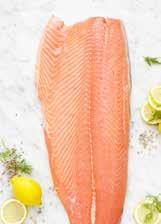 269:00 (Salmon salar) (Salmon salar) (Salmon salar)