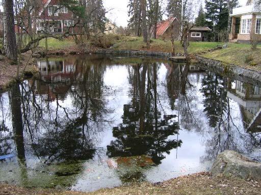 Äldre anlagd damm i villaområde i korsningen Skogsbacken/Tornbacken, Spånga. Lokalen är cirka 100 m 2 stor och 1 meter djup. I vattnet växer fräken och fintrådiga alger.