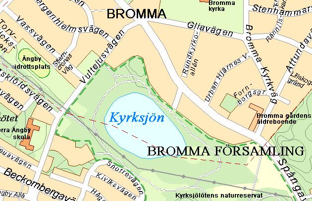 KYRKSJÖNS UTLOPP, KYRKSJÖLÖTENS NR Id: 101 X: 6582965 Y: 1619900 Vanlig padda Sjö (dike, skogskärr) Diket hotas av uttorkning innan groddjurslarverna utvecklats till landliv.