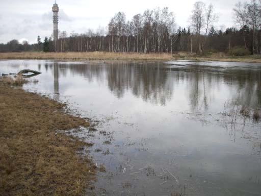Anlagd damm som utgör en del av en större restaurerad våtmark (år 2007) inom Kaknäs ängar, på Södra Djurgården och inom nationalstadsparken.