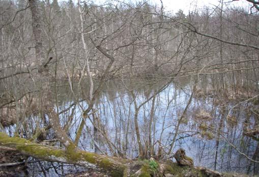 Den undersökta platsen ligger i Nacka kommun, nära Stockholms stads kommungräns. Platsen hänger samman med potentiellt groddjursområde inom Stockholms stad.