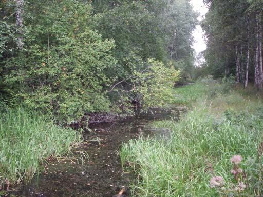 I vattnet växer bredkaveldun, vass, säv samt gäddnate och slingor. I närområdet växer lövskogsdominerad blandskog.