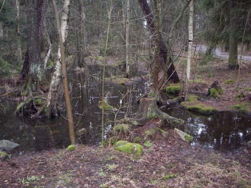Skuggat lövkärr i bergssvacka i Solbergaskogen. Området är uppmärksammat som groddjurslokal och hyser en relativt stor population av groda, som leker på platsen varje år. Vattnet är grunt och mörkt.