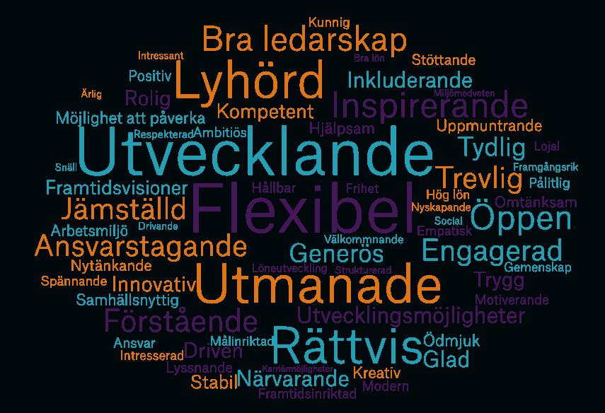 UNGAS DRÖMARBETSGIVARE MED DERAS