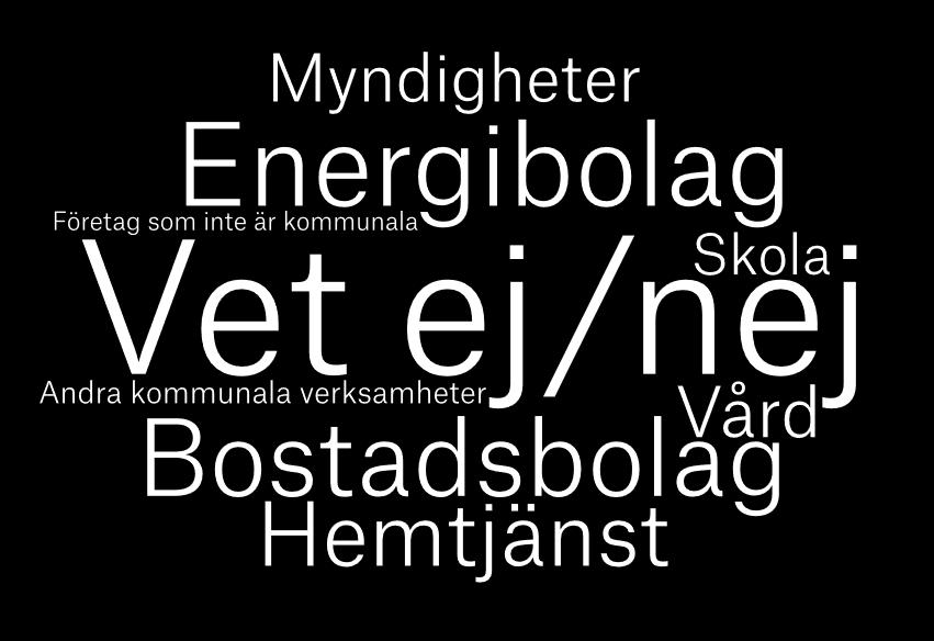Därför kan många unga tänka sig olika typer av arbetsgivare, även om privata företag har högst andel.