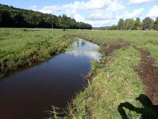 Vattensystem Vattendrag Lokalnummer Datum Nybroån 089 Fyleån UC-2 2015-09-25 Lokalnamn Lokalkoordinater Kommun Karta Meandring nedre 1 X:616027 Y:137723 Tomelilla 2D SO Provtagare: Anders Eklöv, Ivan