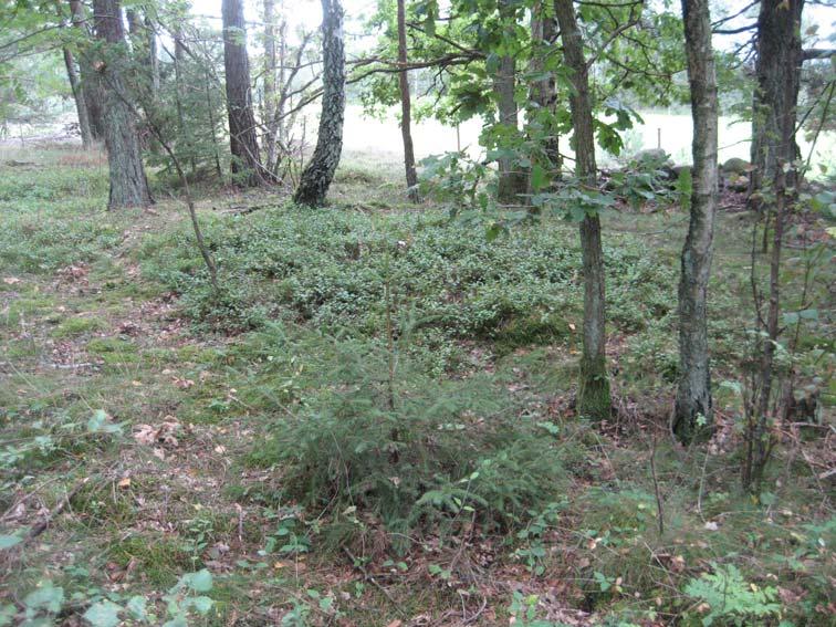 Den kompletterande förundersökningen visade att vägen kan breddas med drygt 1 m utan att de nyupptäckta stensättningarna söder om vägen fysiskt kommer att beröras, dock är marginalerna inte stora.