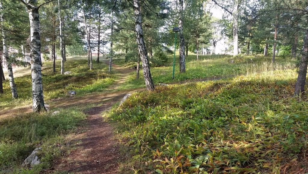 i form av schaktningsövervakning RAÄ 7:1