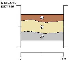 Sektion 4. Schakt 12 1. Matjord 2. Ljusgul silt 3.