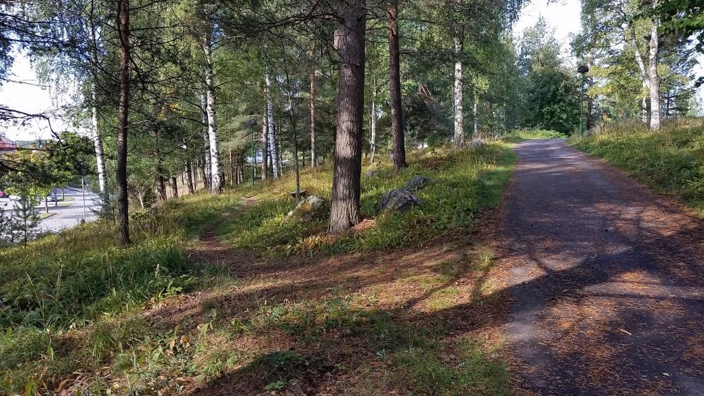 nyttjas som strövområde. Foto: Frida Löjdström, taget från söder.
