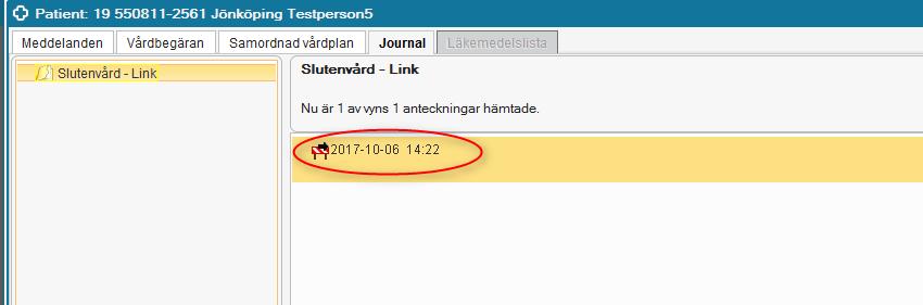 De journalvyer som visas är: Slutenvård Link: här visas enbart de anteckningar som är gjorda under patientens vårdtillfälle, även den del av utskrivningsplanen som är skriven av slutenvården visas