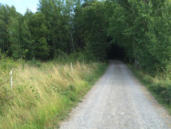 Högsta tillåtna hastighet är 70 km/timme på Kungsbergavägen fram till strax öster om Ettans väg. Därefter är hastighetsbegränsningen 50 km/timme genom Kungsberga.
