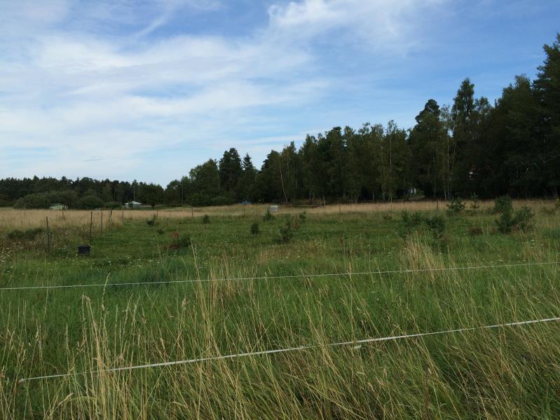 8(20) NATUR Förutsättningar Inom detaljplaneområdet finns inga naturområden som utpekats i kommunens naturinventering.