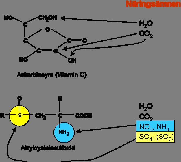 Vitamin C (figur 9) är en viktig antioxidant som förekommer i alla växter.