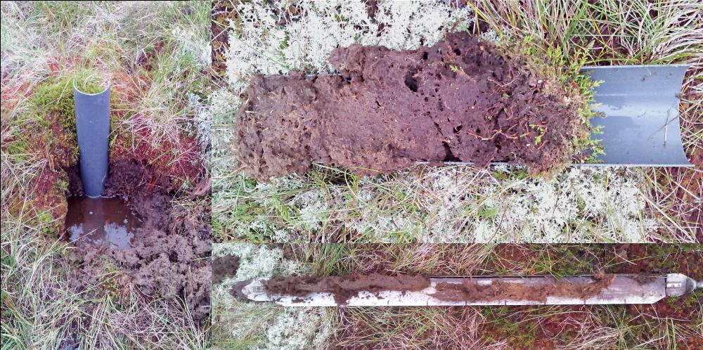Eric Skoglund Figure 2.1: Left: Method used to acquire the shallow surface core TM-01, pressing down a PVC-pipe into the pear hummock and then cutting away the peat outside the core.