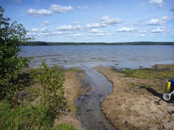 Allarpsbäcken (figur 6) är ett litet vattendrag som rinner från Levrasjön (Natura 2000-område) västerut till Ivösjön. Bäcken är helt omgrävd och i princip kanaliserad.