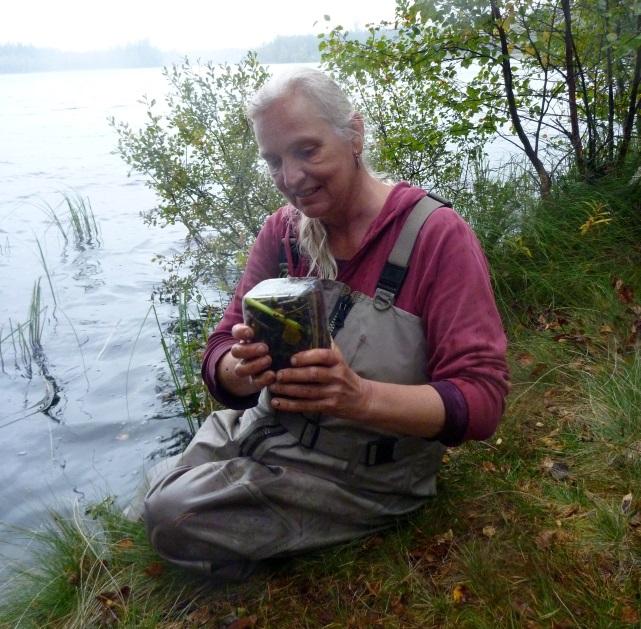 Efter att materialet har sedimenterat i burken hälls större delen av vätskan av och