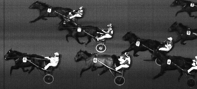 Kingdom Joh 16,2 (274), Nikita Sea 16,8 (575), Livi Dancer 20,2g (28). Segr. s 5 år e. B.J. s Super Star- Tanimara American. Äg. Rittbring Lars-Göran & Ann-Charlotta. Uppf.