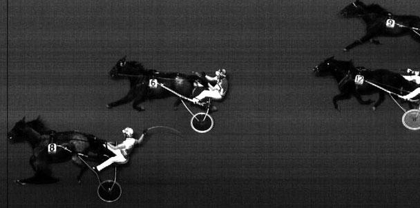 Segr. v 6 år e. Silver Pine-Notice Hanover. Äg. Svensson Sten-Åke & Sundkvist B-M. Uppf. Holmqvist Bengt, Bollnäs. Trän. Svensson Sten-Åke, Borås. 1 längd. Odds: 8,83. Plats: 2,88-2,40-6,15.