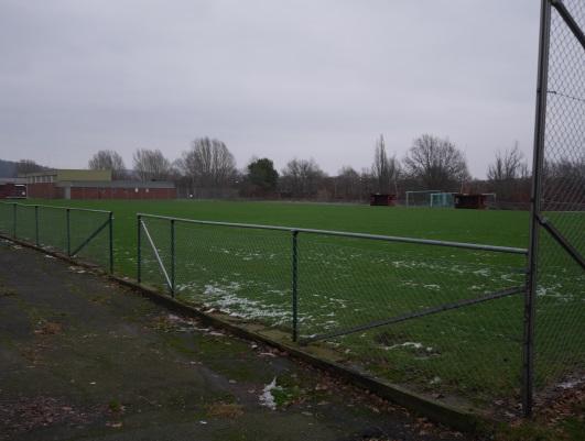 ytor. Områdets centrala del består av en fotbollsplan samt yta för befintlig skolverksamhet i Pedagogen Park.