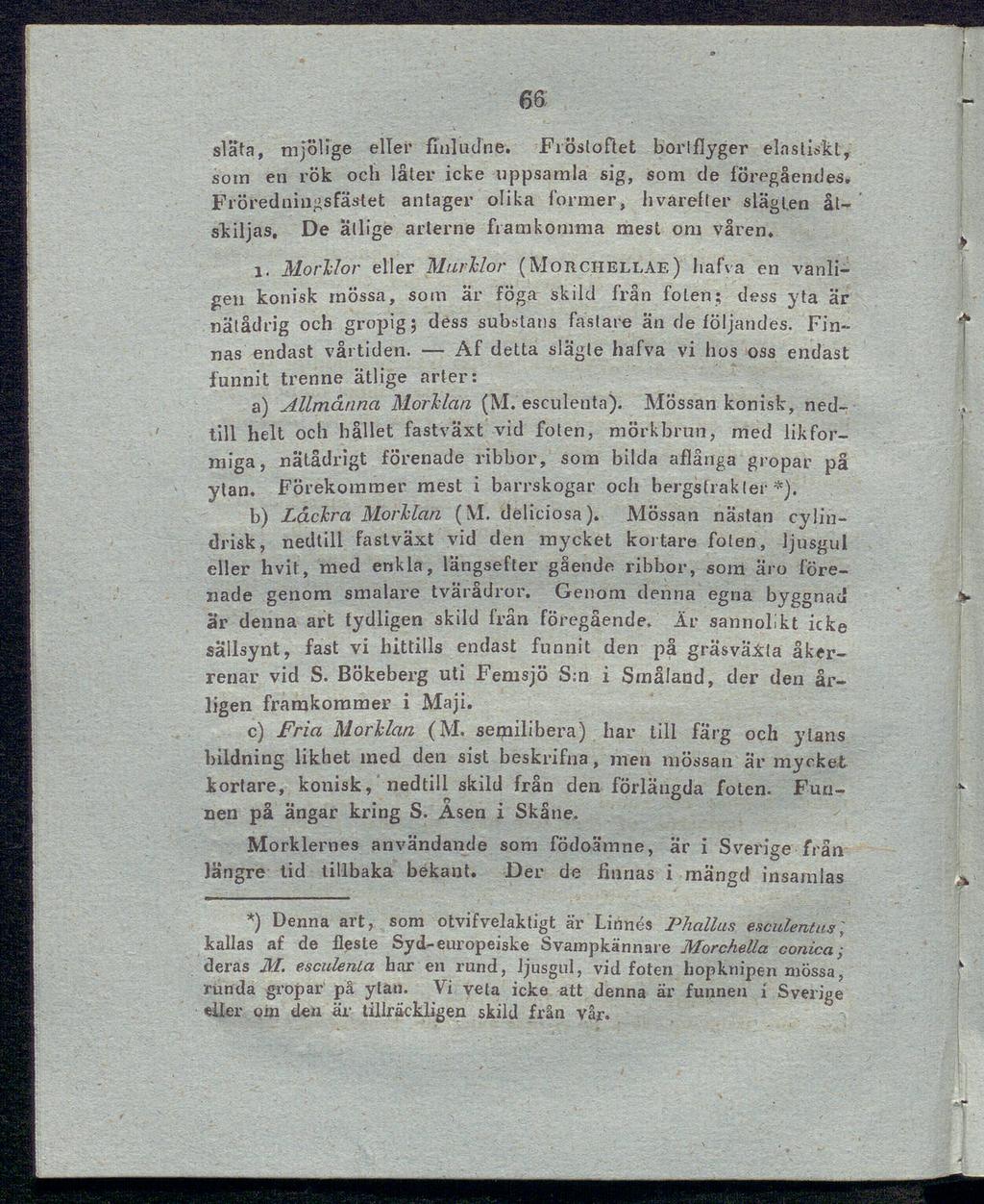 6β släta, mjöl ige eller finludne. Fröstoftet borlflyger elastiskt, som en rök och låter icke uppsamla sig, som de föregåendes.