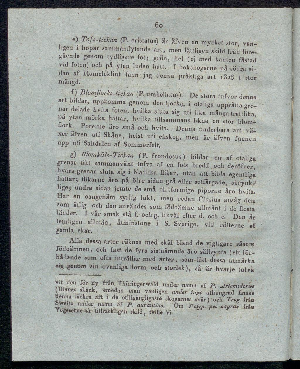 βο e) Tofs-tickan (Ρ. cristälus) är äfven en mycket stor, van ligen i hopar sammanflytande art, men lättligen skild från före gående genom tydligare fot; grön, hel (ej med kanten fästa.